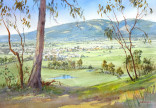 View-over-Yinnar-A